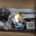 Ecost Box 15-20EU