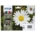 Epson 18 (C13T18064012) Ink Cartridge Multipack, Black, Cyan, Magenta, Yellow