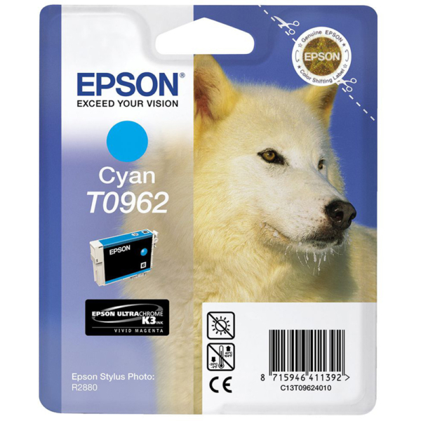 Tint Epson PHOTO R2880 Tsüaan (11,4 ml)