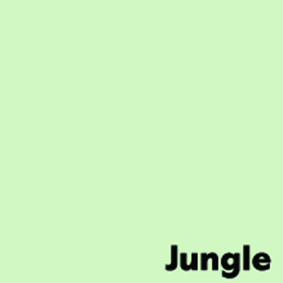 Koopiapaber Image Coloraction, 80gsm, A4, Jungle / Pale Green, 500 l/pk.#1619085 - Image 2