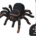 Ecost Customer Return Iso Trade 4503 Remote Controlled Spider Tarantel 23 x 25 x 7.5 cm Giant Spider